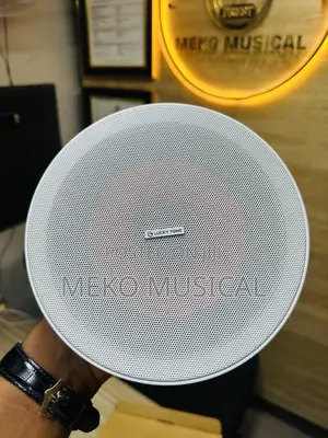 Active Ceiling Speaker
