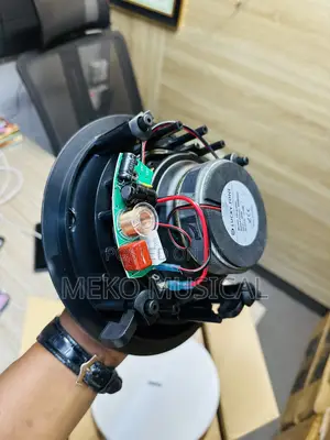 Flameless Ceiling Speaker
