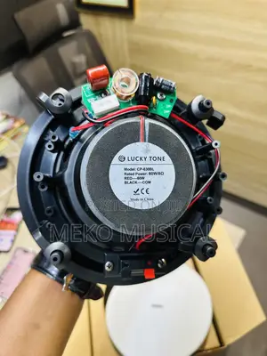 Flameless Ceiling Speaker