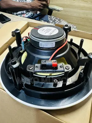 Flameless Ceiling Speaker