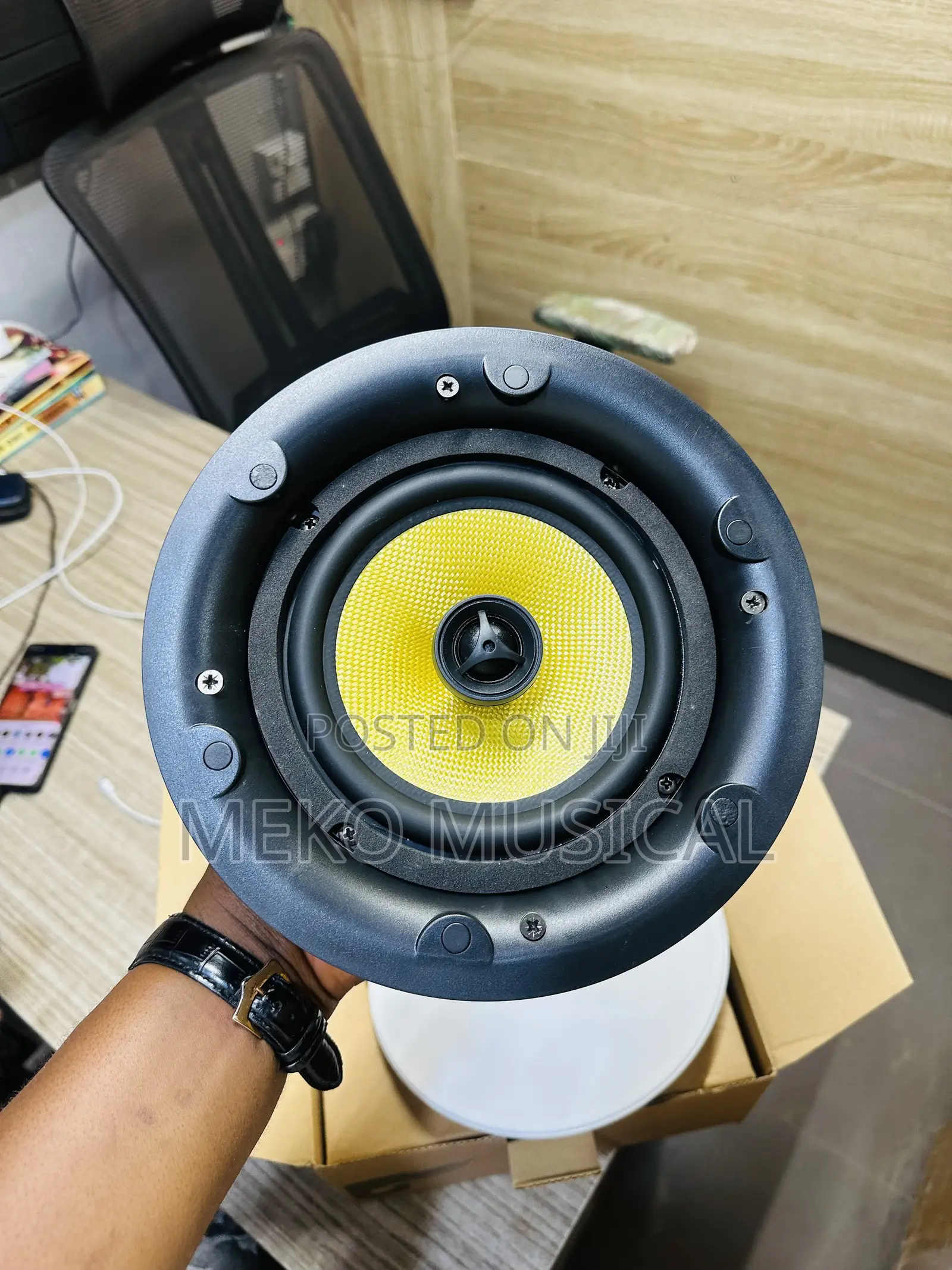 Flameless Ceiling Speaker