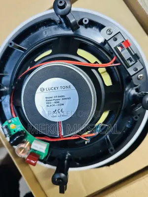 Flameless Ceiling Speaker