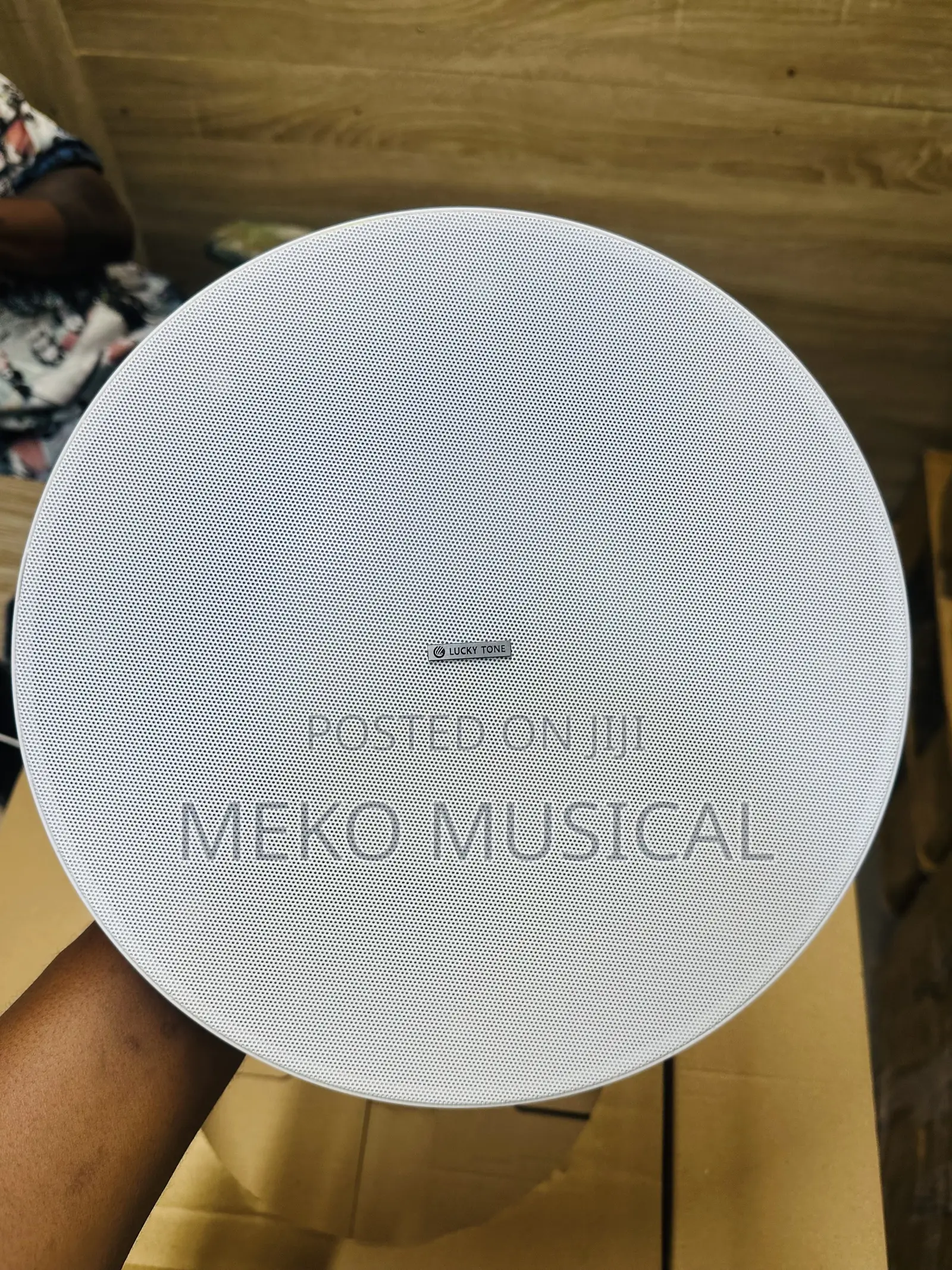 Flameless Ceiling Speaker