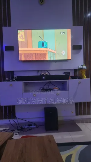 Television