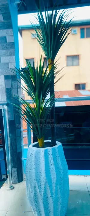 Plant and Vase
