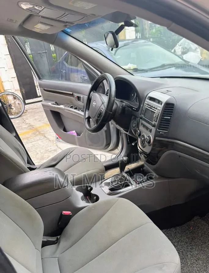 Hyundai Santa Fe 2010 Silver