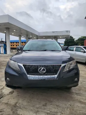 Lexus RX 2010 Gray
