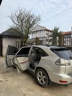 Lexus RX 330 4WD 2003 Gray