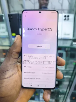 Xiaomi 12 Pro 256 GB Gray