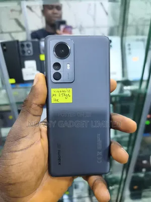 Xiaomi 12 Pro 256 GB Gray