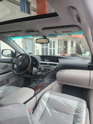 Lexus RX 2010 Gray