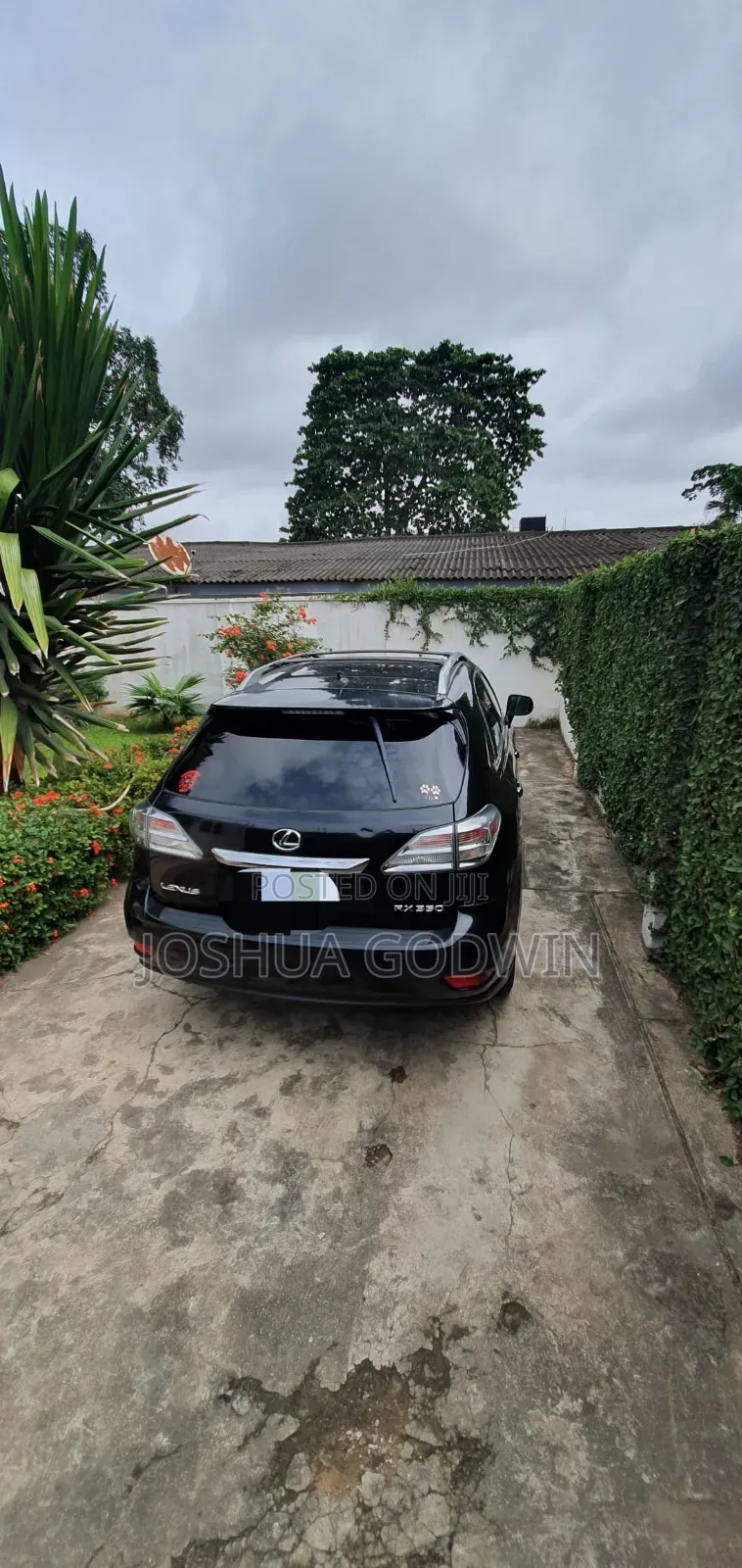 Lexus RX 2010 Black