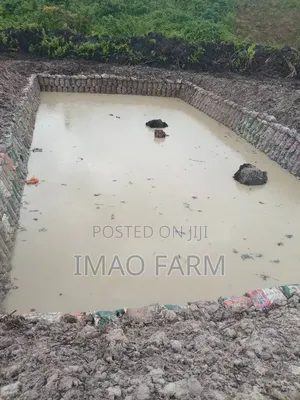 Contact for Your New Earthen Ponds and Renovation