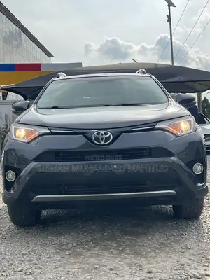 Toyota RAV4 XLE AWD (2.5L 4cyl 6A) 2016 Gray