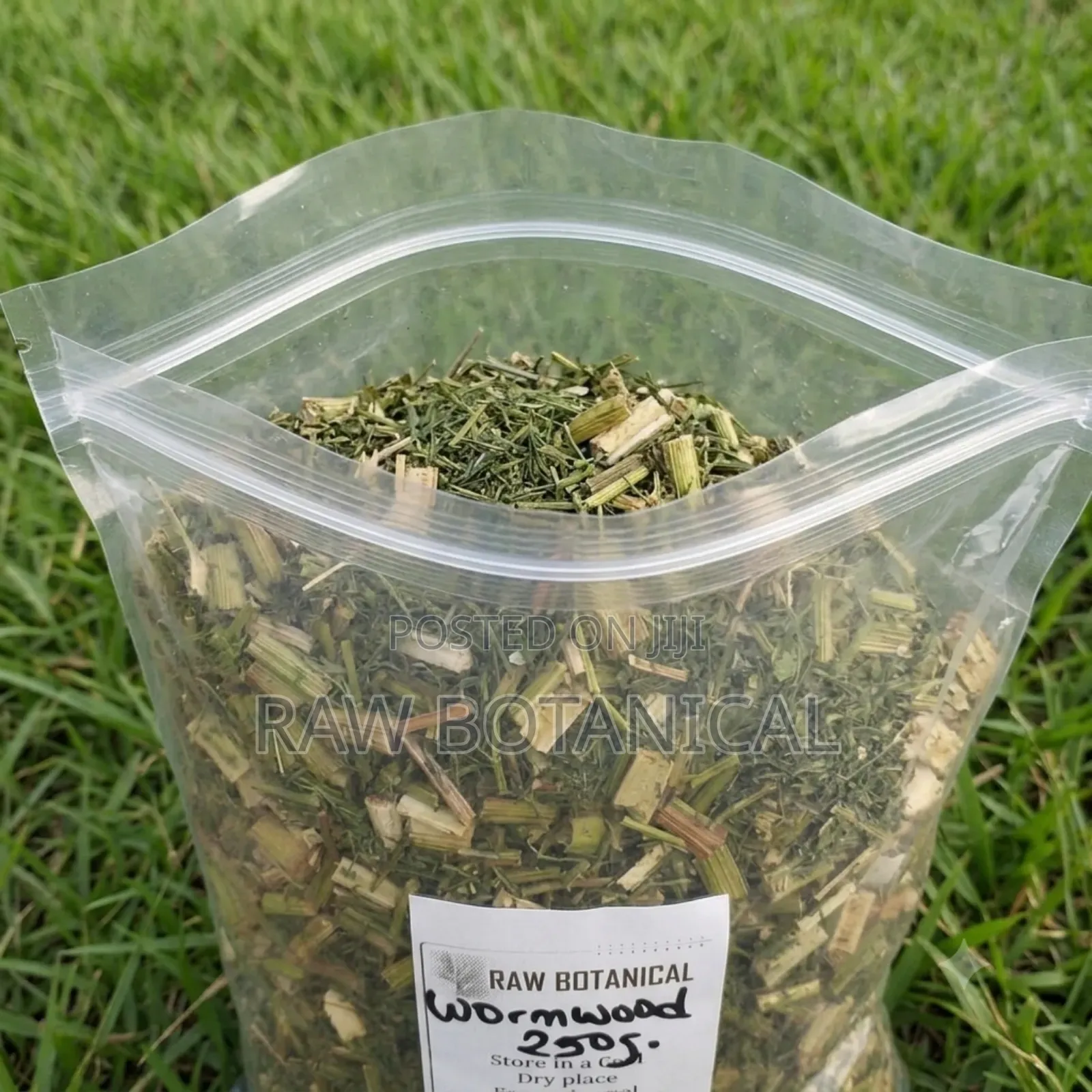 Worm Wood (Artemisia Absinthium)