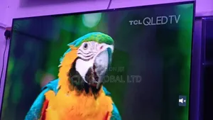 Qled and Oled Smart TV