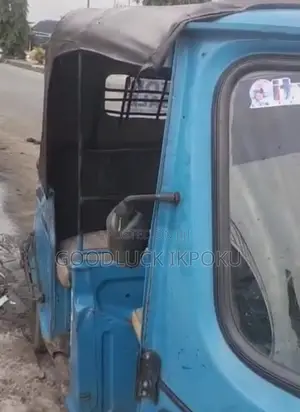 Tricycle 2019 Blue