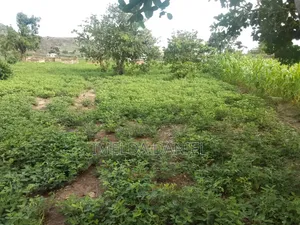 Prime Land