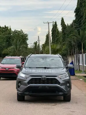 Toyota RAV4 XLE AWD 2019 Gray