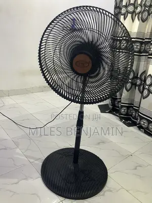 Standing Fan