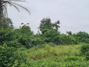 Plot of Land