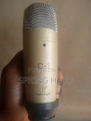 C1 Condenser Microphone