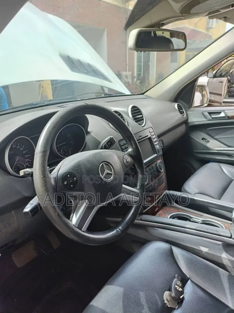 Mercedes-Benz M Class 2010 Silver