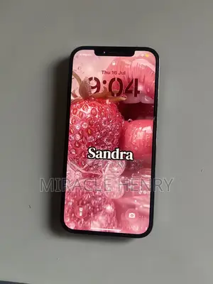 Apple iPhone 12 Pro Max 256 GB Blue