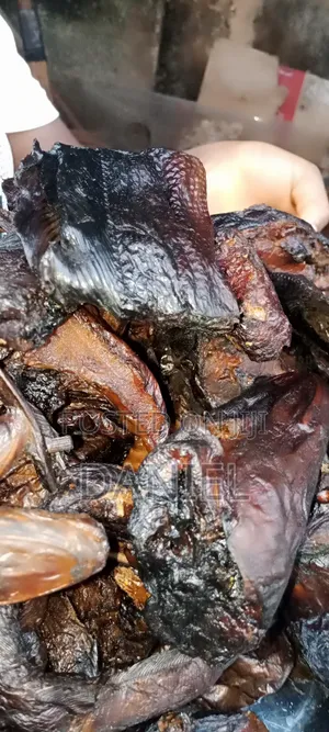 Smoked Cat Fish