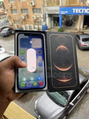 Apple iPhone 12 Pro 256 GB Blue
