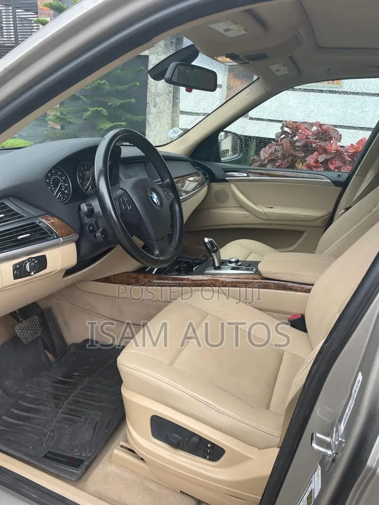BMW X5 2009 Gold
