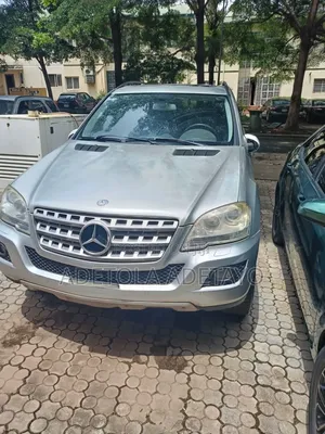 Mercedes-Benz M Class 2010 Silver