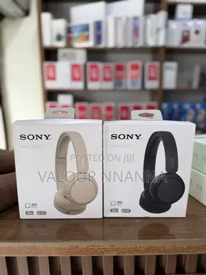 Sony WH-CH520