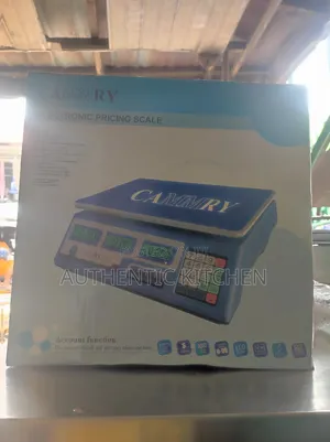 Camry Digital Scale -40kg
