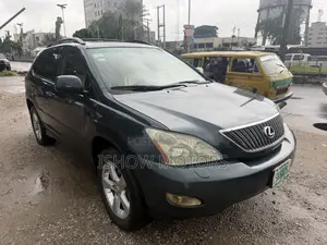 Lexus RX 330 2006 Gray