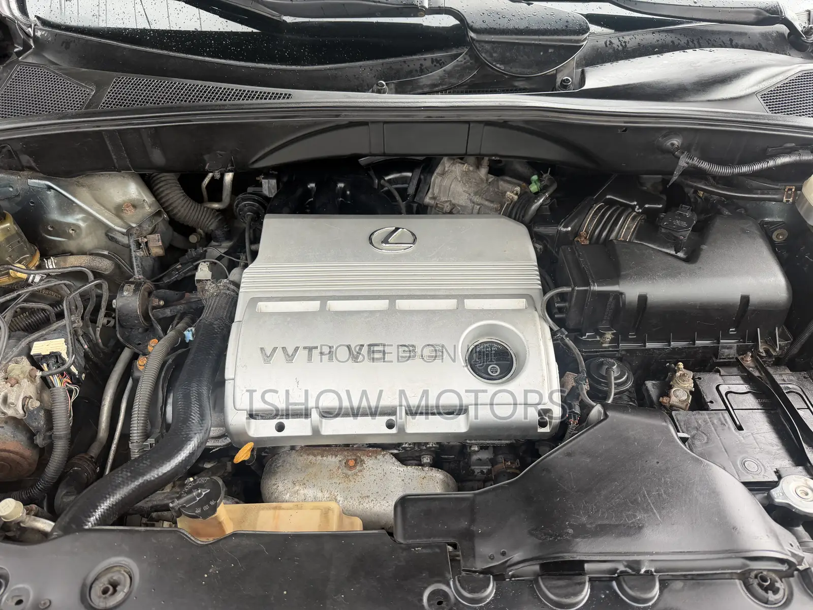 Lexus RX 330 2006 Gray