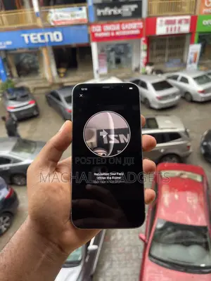 Apple iPhone 12 Pro Max 256 GB Black