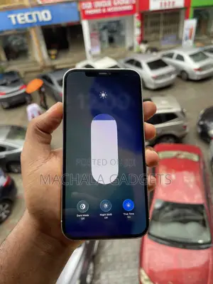 Apple iPhone 12 Pro Max 256 GB Black