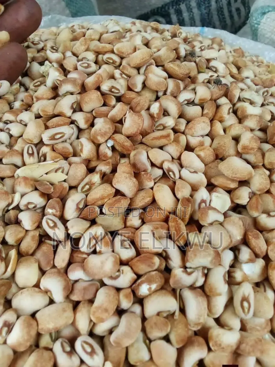 Kampala Honey Beans (39 Mudus)