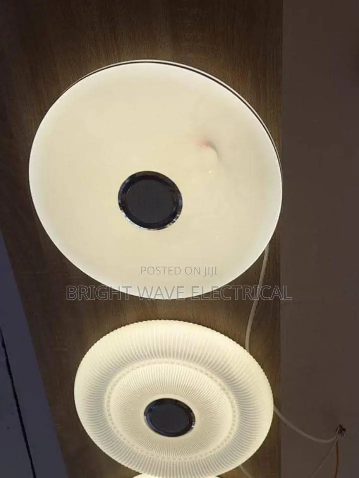 Ceiling Speaker With Bluetooth