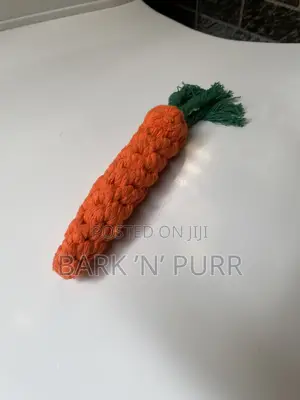 Carrot Pet Toy