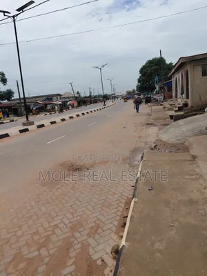 290sqm Half Plot 4 Sale Aro Ologbo Rd Leki Lagos