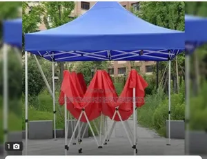 Beautiful 10 by 10 Foldable Canopy
