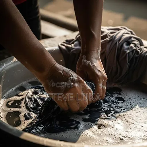 Home Laundry Service