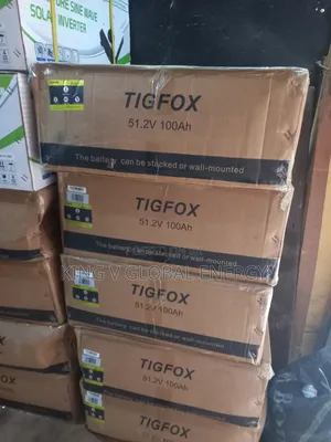 TIGFOX 5kwh/51.2v 100Ah Lithium Iron Battery