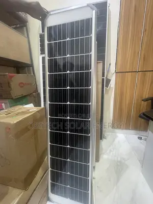 Felicity D2 Series 80w-P Solar Street Light – Bright, Smart Energy