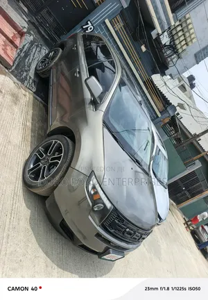 Ford Edge 2010 Gray