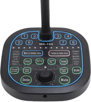 Voice Changer Microphone 16 Effects | Portable Disguiser Laptop Phone