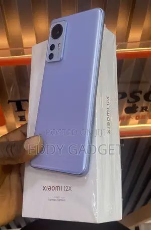 Xiaomi 12X 256 GB Blue
