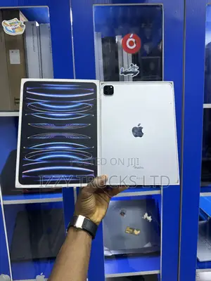 Apple iPad Pro 11 (2022) 256 GB Gray